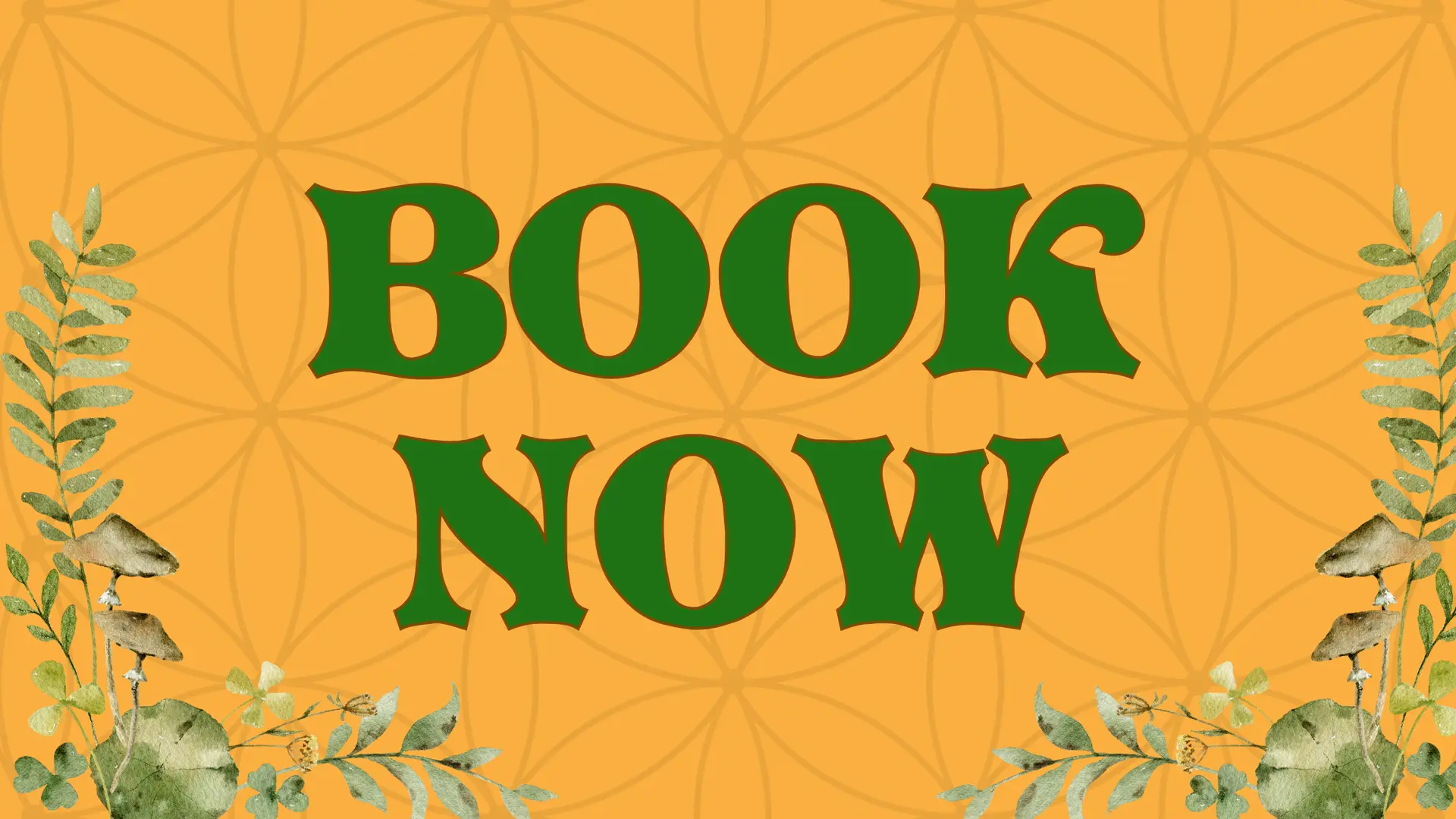 Book Now Buttom