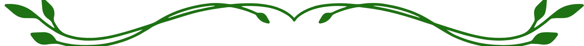 Website Section Divide Banner (1)